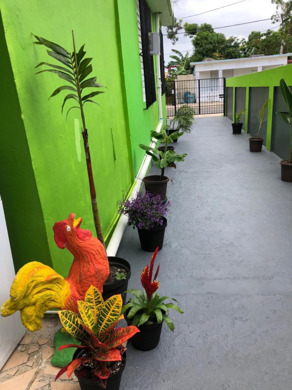 Vieques Good Vibe Guest House Exterior foto